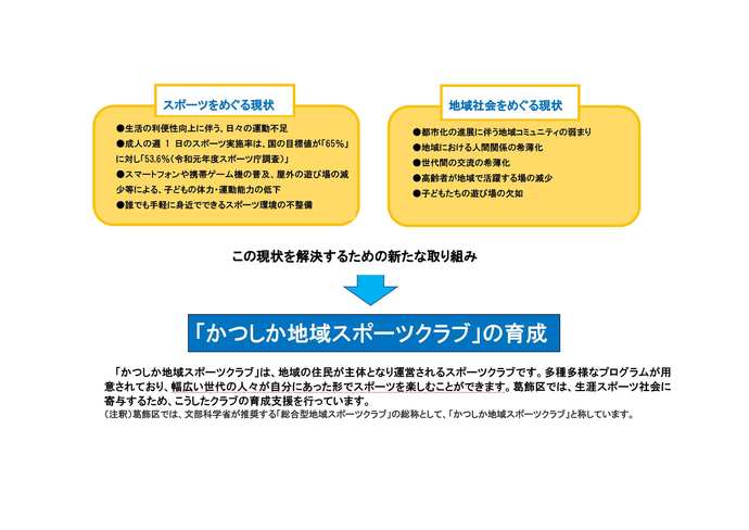 地域の現状(フローチャート図)