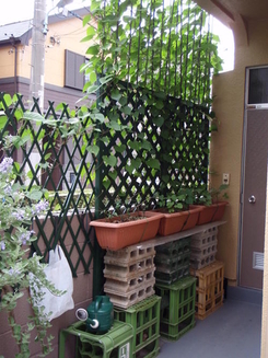 ヨルガオの緑のカーテンを裏から見た写真。プランター台を兼ねたブロックで、高さのあるトレリスがしっかり固定されています。