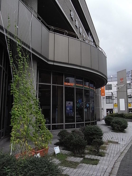 郵便局の1階に緑のカーテンを設置した写真