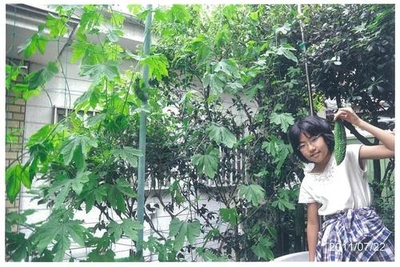 緑のカーテンをバックに、お孫さんとゴーヤの実とを一緒に写した写真