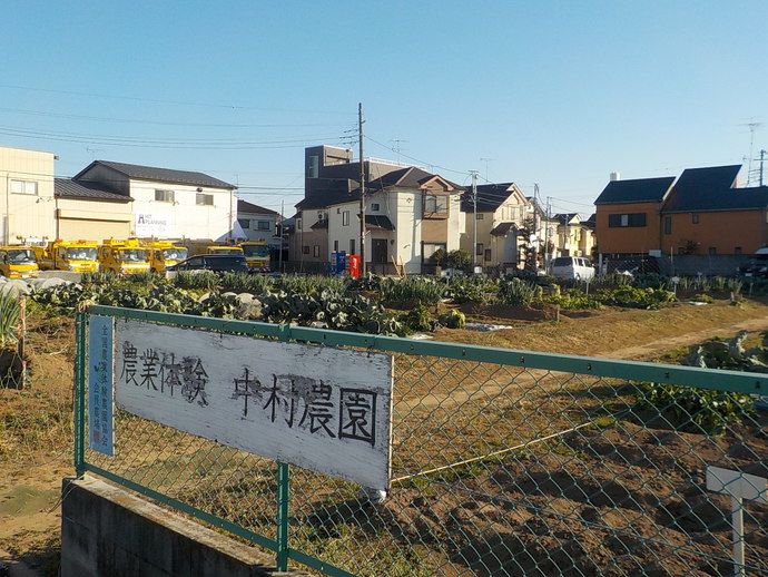 体験農園の様子