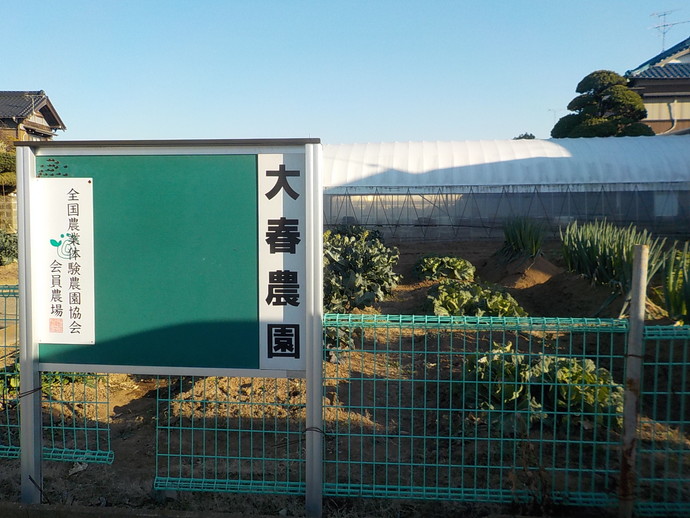 体験農園の様子