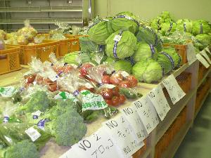 店内には新鮮な葛飾元気野菜の写真