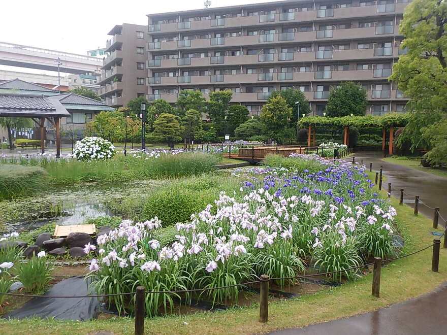 よんまいめ