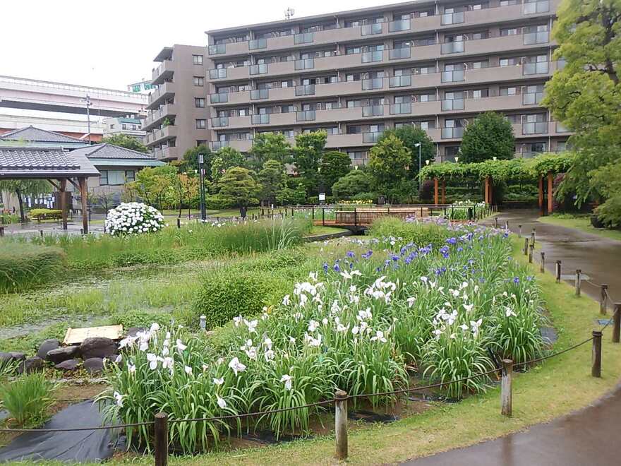 に