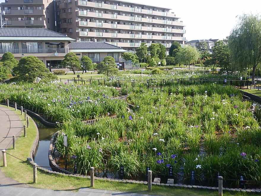 に