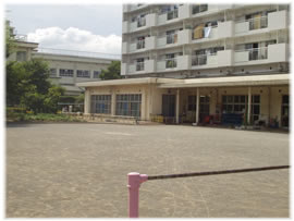 たつみ保育園の写真