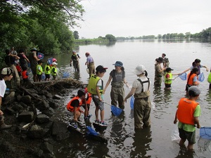 　魚類調査の様子