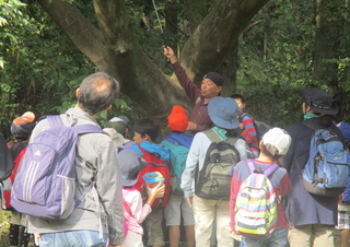 　自然観察の様子