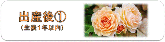 出産後1(生後1年以内)