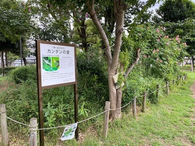 青戸平和公園のカンタンの里