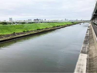 調査地（綾瀬川）の写真