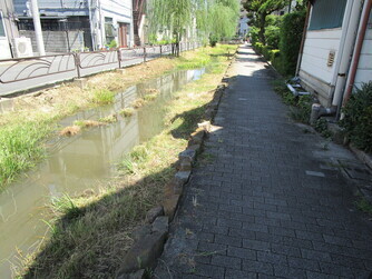 調査地（四つ木めだかの小道）の写真