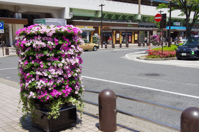 亀有駅南口のフラワーメリーゴーランド