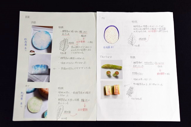 中学校の部 入賞