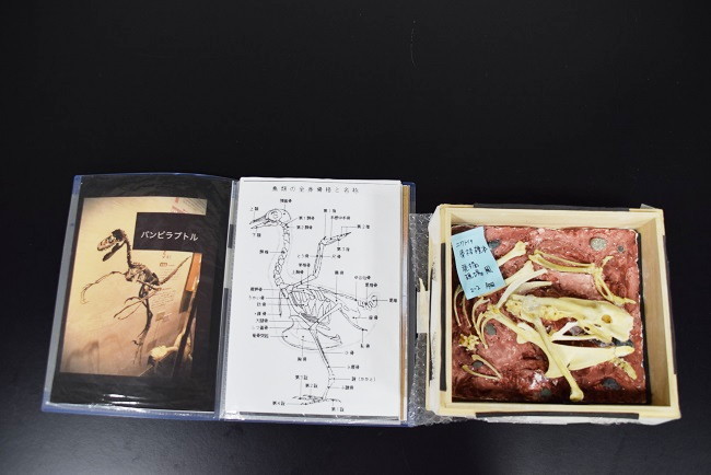 中学校の部 入賞