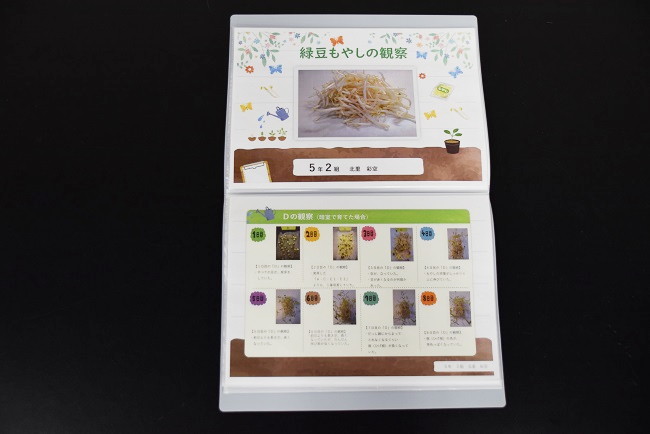 小学校の部 入賞