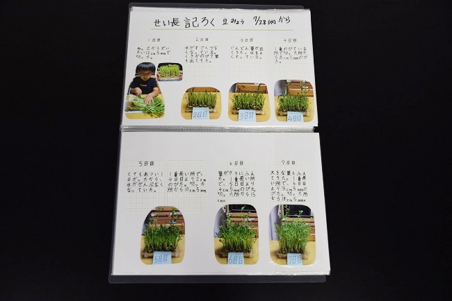 小学校の部 入賞