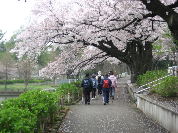 東京都立水元公園