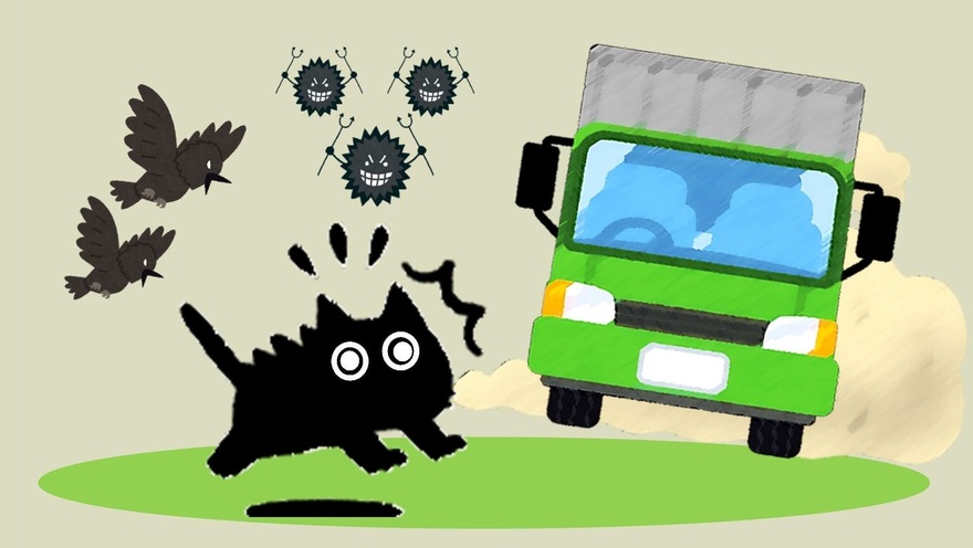 猫 室内で飼いましょう