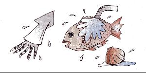 魚介類は流水でよく洗いましょうのイラスト