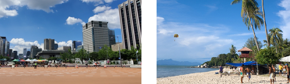 麻浦区とペナン州