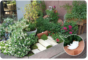 花壇の写真2