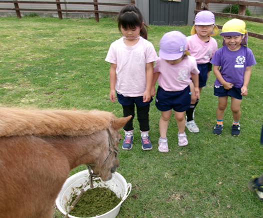 子供たちと馬