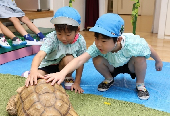 めいしょう