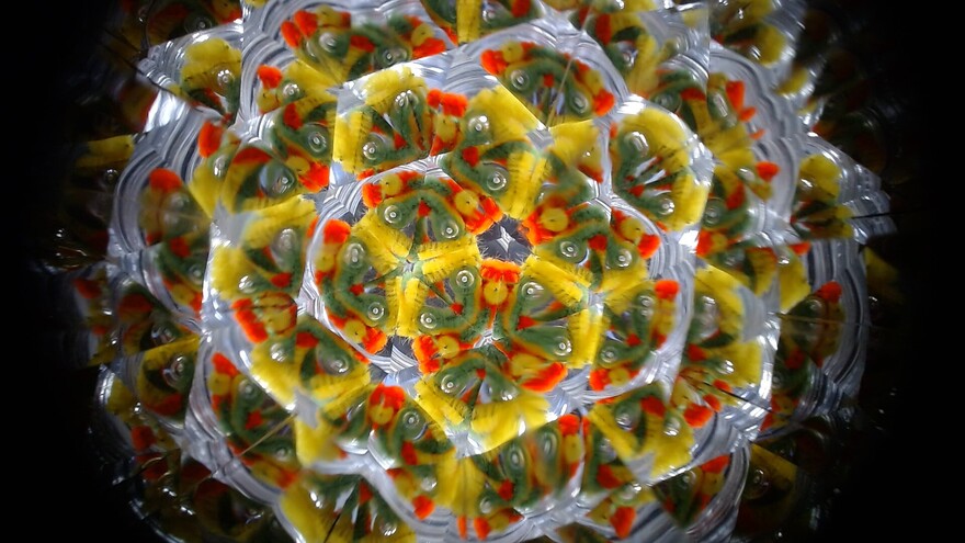 きらきら万華鏡