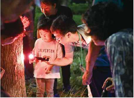 水元公園ナイトウオッチングの写真