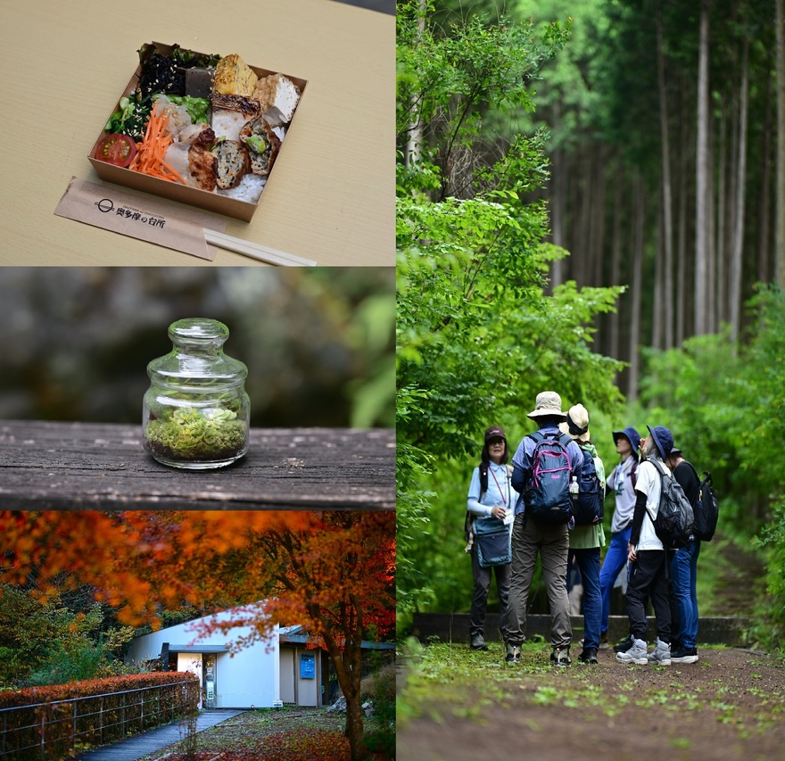 人気のおかずを使ったお弁当やテラリウム作り体験、登計トレイルで行う森林セラピーなどの写真