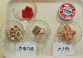 赤身の肉・魚の写真