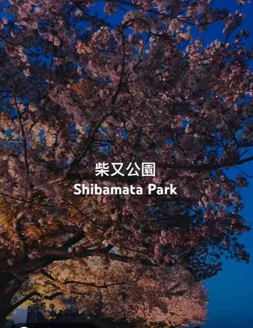 サムネイル画像10