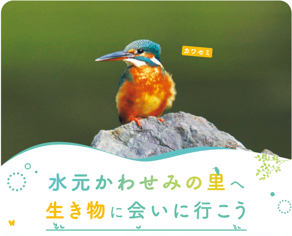 1面タイトル画像