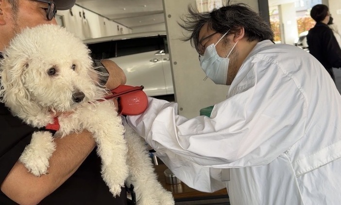 狂犬病予防集合注射